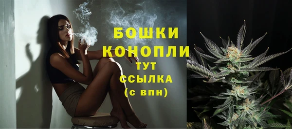 spice Осташков