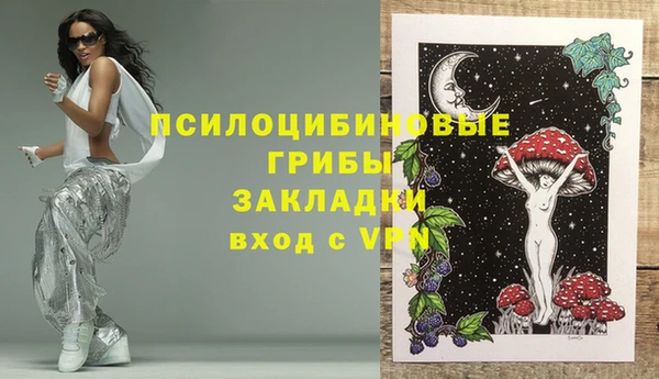 spice Осташков