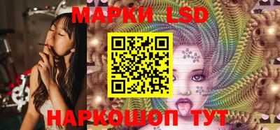 хмурый Сланцы