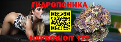 хмурый Сланцы