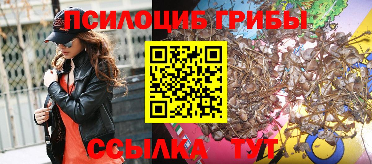 Псилоцибиновые грибы GOLDEN TEACHER Прокопьевск