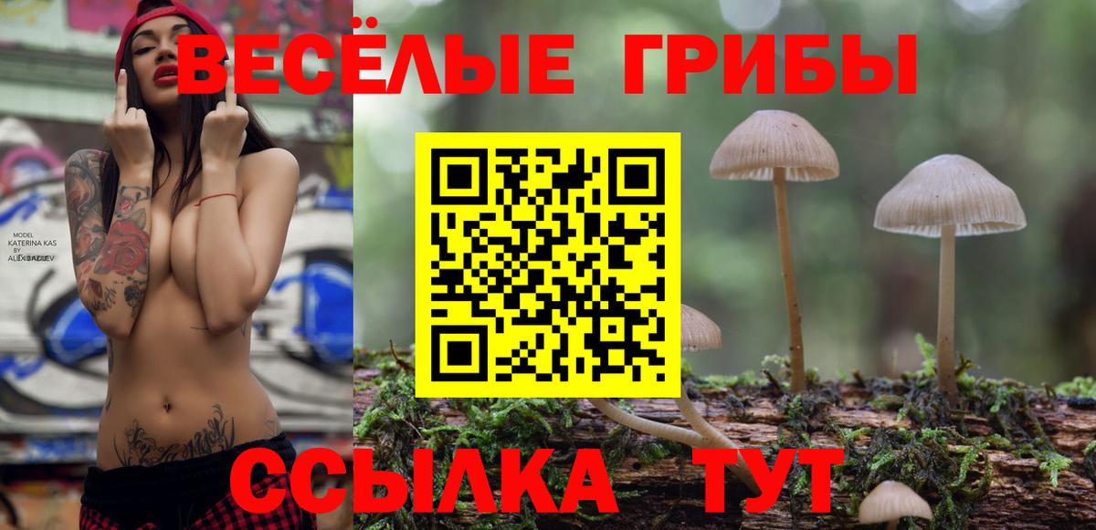 Прокопьевск  Галлюциногенные грибы ЛСД  Вход с VPN  Псилоцибиновые грибы Psilocybe 